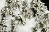 Native Silver in Calcite - Morocco #362824-2
